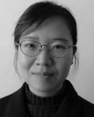 Shujing Wang