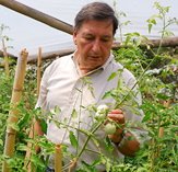 Rodolfo A. Sánchez