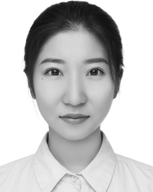 Wenyi Li