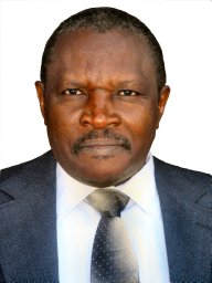 Nerey H Mvungi