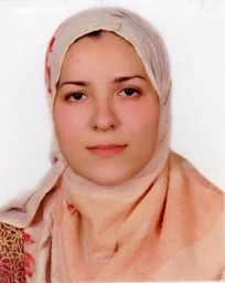 Mohsen Laila