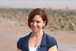 Julie N. Oswald