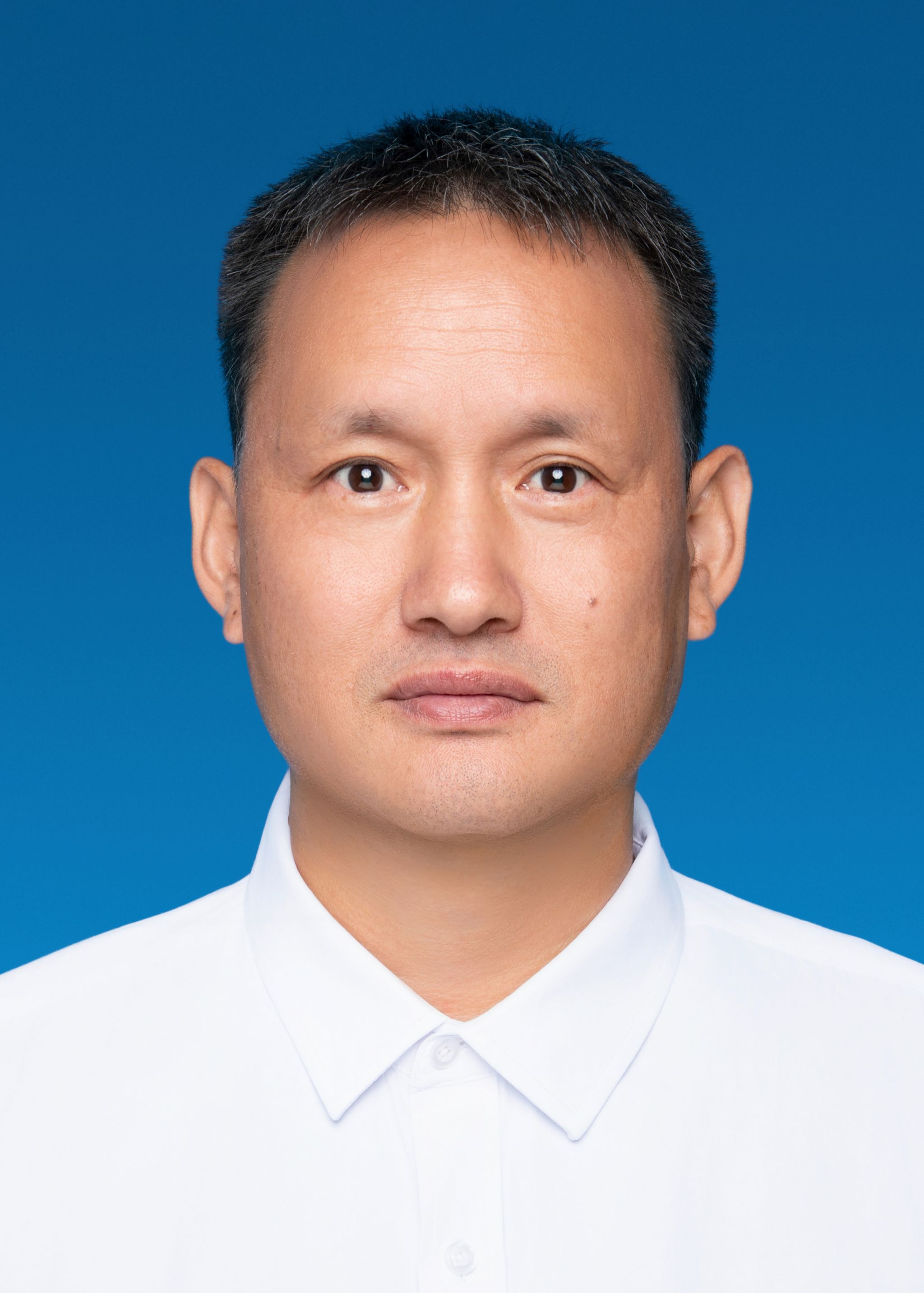 Wenhui Zhao