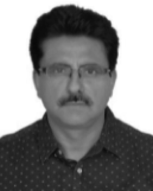 A. K. Pulhani