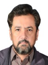 Sajjad A. Madani
