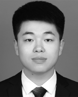 Mengmeng Liu