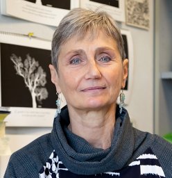 Cinzia Volonte