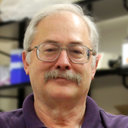 John R Shanks