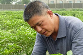 Jie Xiao