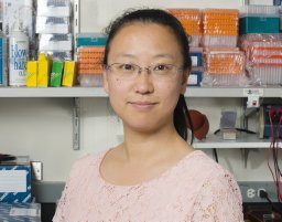 Wenjiao Song