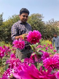 Singh Ashish
