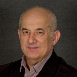 M. I. Evstifeev