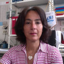 Maria Cristina Curia