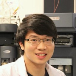 Wong Tin-Yan