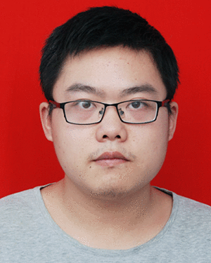 Wang Zhemin