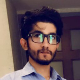 Mir S Adil