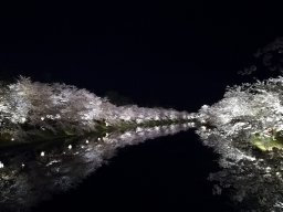 Shintaro Mori