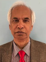 Madhu S. Malo