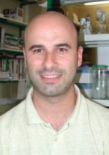 Manuel A. S. Santos