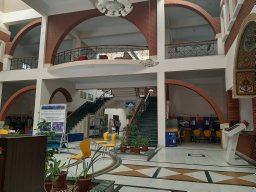 Dhanashree H. Surve