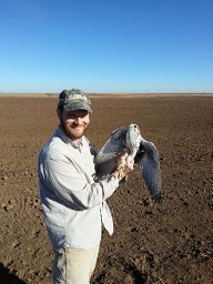 Corey E. Roelke