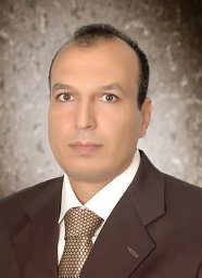 Ashraf E. Hamdy