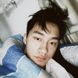 Jiahao Zhu