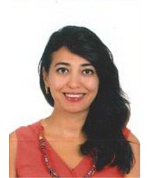 Celik Asli