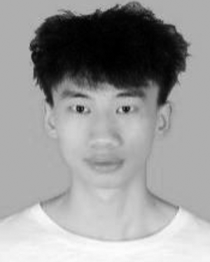 Mingyu Han