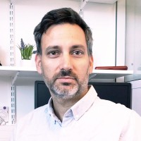 Sebastian Fernandez