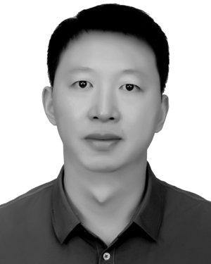 Qing Ye