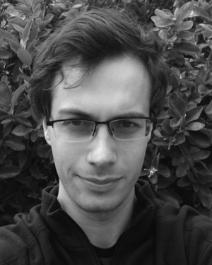 Matthew L Daggitt