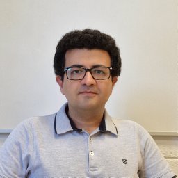 Farid Alavi