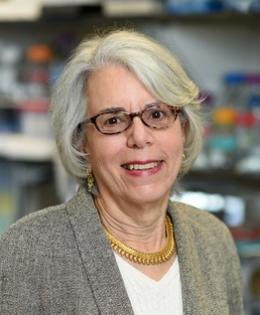 Regina M. Santella