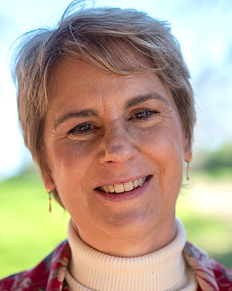 Pamela J Lein