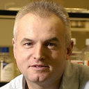 Mark Dunne