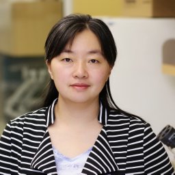 Ying Liu