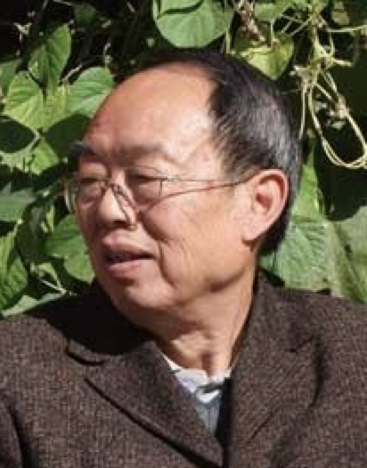 Dingkai Li