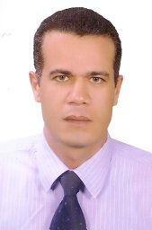 Samy M Sayed