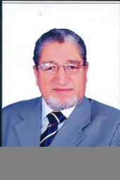 M. Dongol