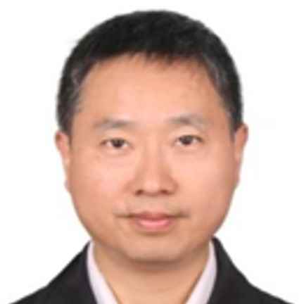 Yuhong Yang