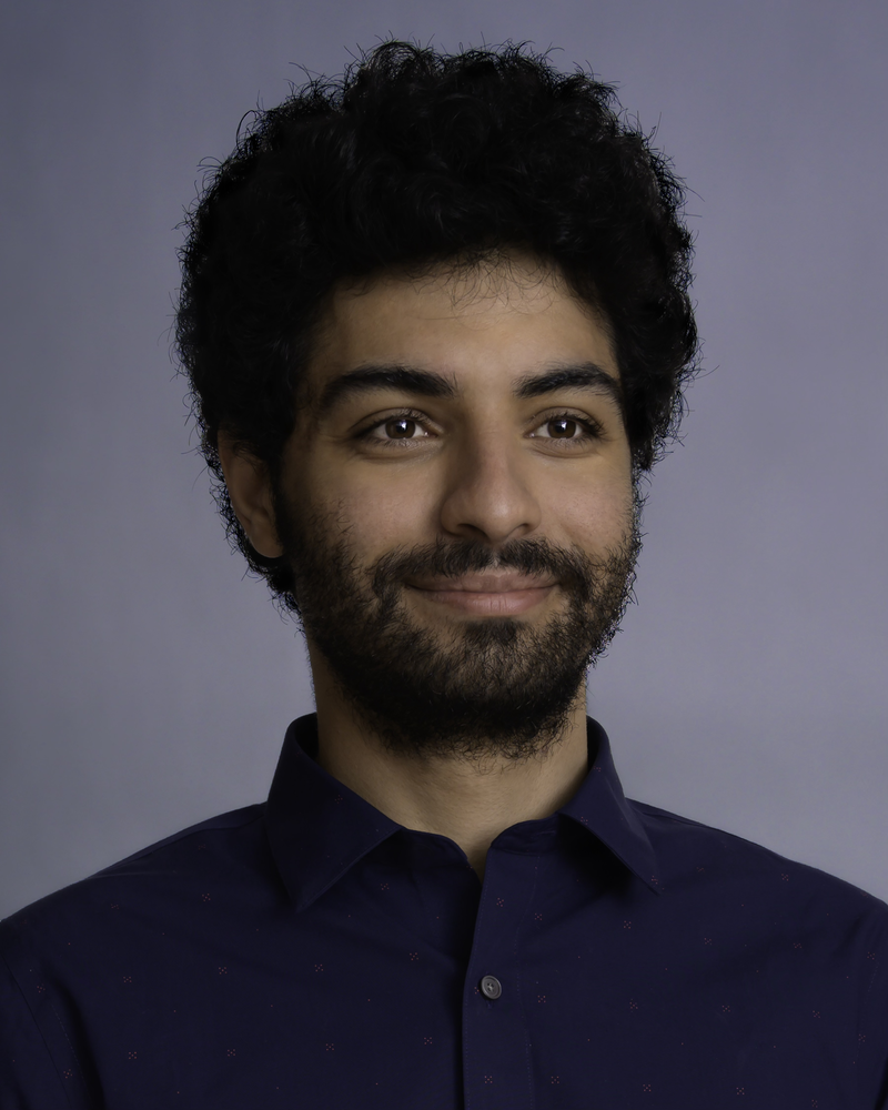 Loqman Salamatian