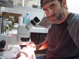 Landestoy Miguel A