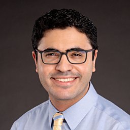 Mohammad K Eldomery