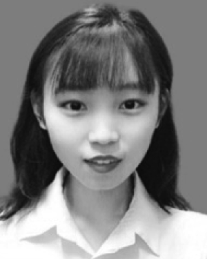 Haofei Yin