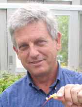 Scott Hodges