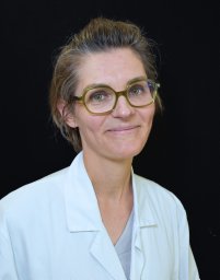 M. Lefebvre