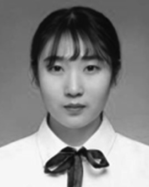 Fei Meng