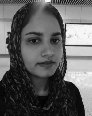 Mehwish Hussain Muhammad