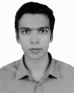 Md. Anwar Hossen